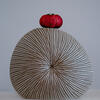 2024-04-11 16-00-52 (A,Radius2,Smoothing4)croofm.jpg